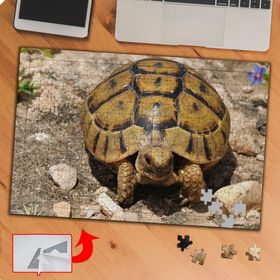 KS70366 Sevimli Hayvan Kaplumbağa 240 Parça Puzzle Yapboz