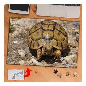 KS70366 Sevimli Hayvan Kaplumbağa 240 Parça Puzzle Yapboz
