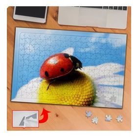 KS70387 Papatyanın Üstüne Uğur Böceği 240 Parça Puzzle Yapboz