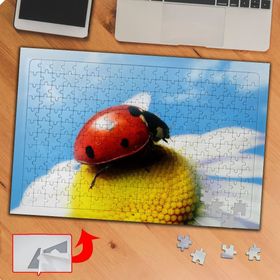 KS70387 Papatyanın Üstüne Uğur Böceği 240 Parça Puzzle Yapboz
