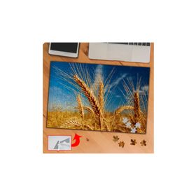 KS704 Mavi Gökyüzü Buğday Tarlası 240 Parça Puzzle Yapboz Tablo