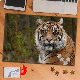 KS70455 Yakın Çekim Kaplan 240 Parça Puzzle Yapboz Tablo