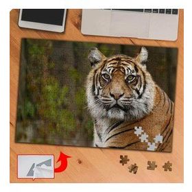KS70455 Yakın Çekim Kaplan 240 Parça Puzzle Yapboz Tablo