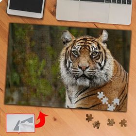 KS70455 Yakın Çekim Kaplan 240 Parça Puzzle Yapboz Tablo