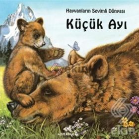 KÜÇÜK AYI - GENEL
