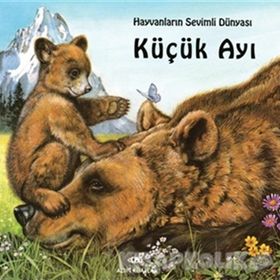 KÜÇÜK AYI - GENEL