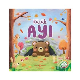 KÜÇÜK AYI - GENEL