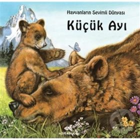 KÜÇÜK AYI - GENEL