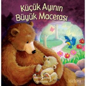 Küçük Ayının Büyük Macerası - Julia Hubery