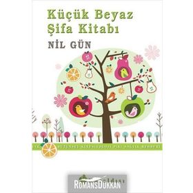 KÜÇÜK BEYAZ ŞIFA KITABI BÜTÜNSEL KINESIYOLOJI (PIKI) SAĞLIK REHBERI - NIL GÜN