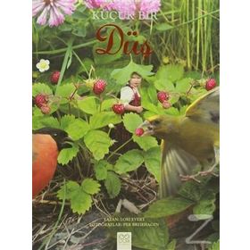 Küçük Bir Düş - Lori Evert