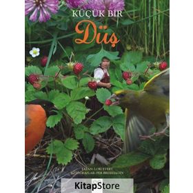 Küçük Bir Düş - Lori Evert