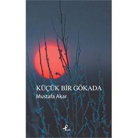 Küçük Bir Gökada - Mustafa Akar