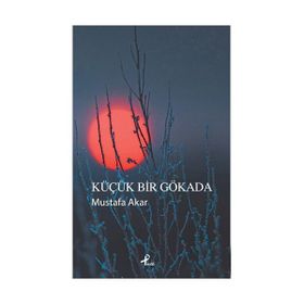 Küçük Bir Gökada - Mustafa Akar