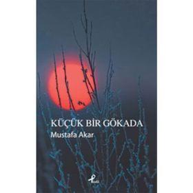 Küçük Bir Gökada - Mustafa Akar