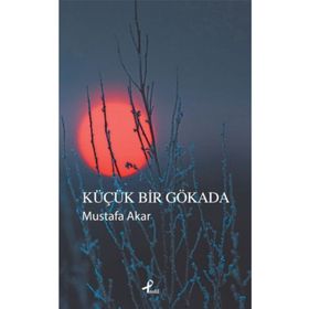Küçük Bir Gökada - Mustafa Akar