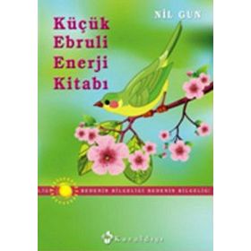 Küçük Ebruli Enerji Kitabı - Nil Gün