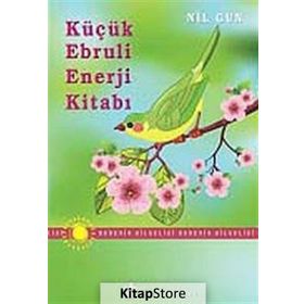 Küçük Ebruli Enerji Kitabı - Nil Gün