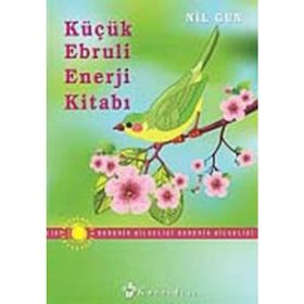 Küçük Ebruli Enerji Kitabı - Nil Gün