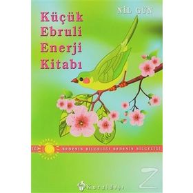 Küçük Ebruli Enerji Kitabı - Nil Gün