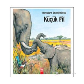 KÜÇÜK FIL - ALAIN JOST