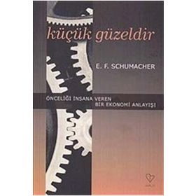 Küçük Güzeldir - Seth Godin