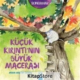 Küçük Kırıntı’nın Büyük Macerası - Aysun Berktay Özmen