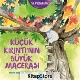 Küçük Kırıntı’nın Büyük Macerası - Aysun Berktay Özmen