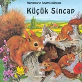KÜÇÜK SINCAP - GENEL