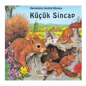 KÜÇÜK SINCAP - GENEL