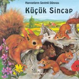 KÜÇÜK SINCAP - GENEL