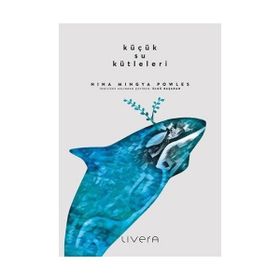 Küçük Su Kütleleri - Nina Mingya Powles