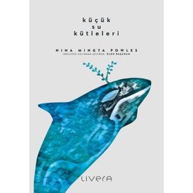 Küçük Su Kütleleri - Nina Mingya Powles