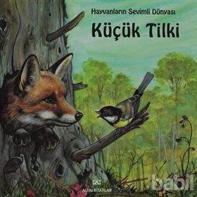 KÜÇÜK TILKI - GENEL