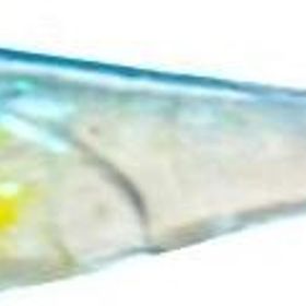 Kudos Natura Drop Shad 06 Standart 5 cm Silikon Yem