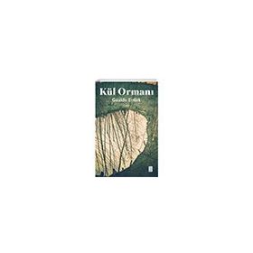Kül Ormanı - Güzide Ertürk