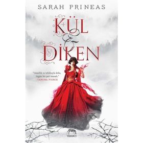 Kül ve Diken - Sarah Prineas