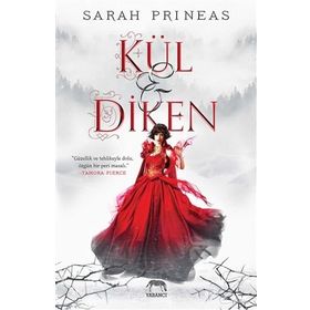 Kül ve Diken - Sarah Prineas