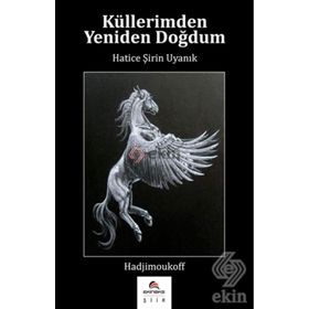 Küllerimden Yeniden Doğdum - Hatice Şirin Uyanık