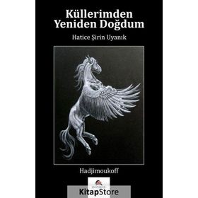 Küllerimden Yeniden Doğdum - Hatice Şirin Uyanık