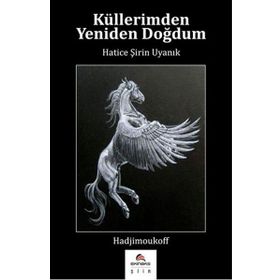 Küllerimden Yeniden Doğdum - Hatice Şirin Uyanık