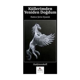 Küllerimden Yeniden Doğdum - Hatice Şirin Uyanık