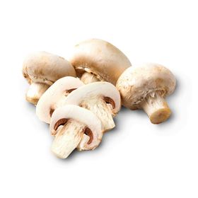 Kültür Mantarı (Paket)
