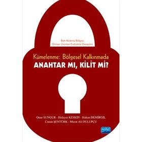 KÜMELENME: BÖLGESEL KALKINMADA ANAHTAR MI? KILIT MI? BATI AKDENIZ BÖLGESI ORMAN ÜRÜNLERI ENDÜSTRISI DENEYIMI - KOLEKTIF