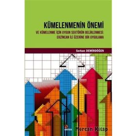 Kümelenmenin Önemi ve Kümelenme için Uygun Sektörün Belirlenmesi: Erzincan Üzerine Bir Uygulama - Serkan Demirdöğen