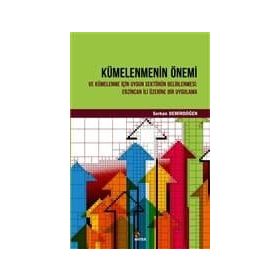 Kümelenmenin Önemi ve Kümelenme için Uygun Sektörün Belirlenmesi: Erzincan Üzerine Bir Uygulama - Serkan Demirdöğen