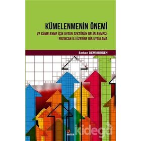 Kümelenmenin Önemi ve Kümelenme için Uygun Sektörün Belirlenmesi: Erzincan Üzerine Bir Uygulama - Serkan Demirdöğen