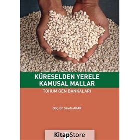 Küreselden Yerele Kamusal Mallar - Sevda Akar