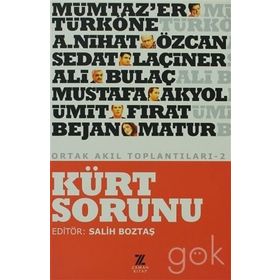 KÜRT SORUNU ORTAK AKIL TOPLANTILARI- 2 - KOLEKTIF