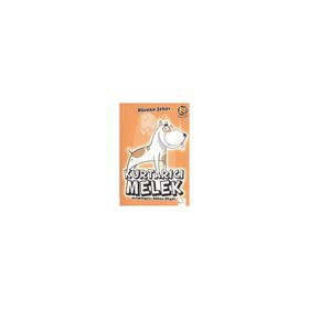 KURTARICI MELEK - HÜSNAN ŞEKER